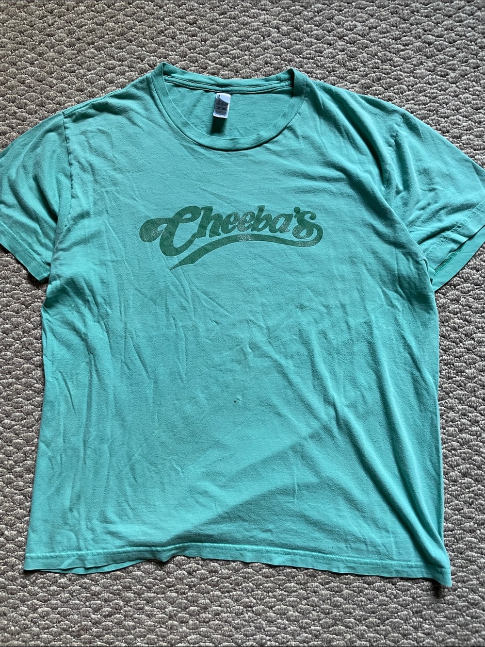Vintage Y2K American apparel cheers parody cannabis website t shirt